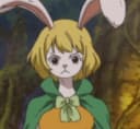 Carrot
