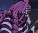 Minozebra