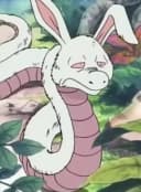 Usagihebi