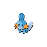 Mudkip