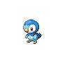 Piplup