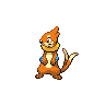 Buizel