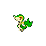 Snivy