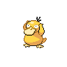 Psyduck