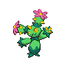 Maractus