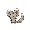 Minccino