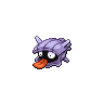 Shellder