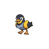 Wattrel